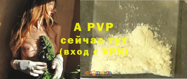 дживик Белоозёрский
