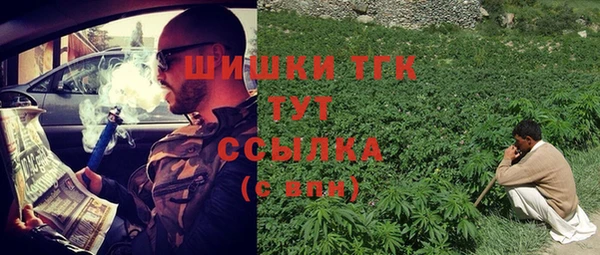дживик Белоозёрский